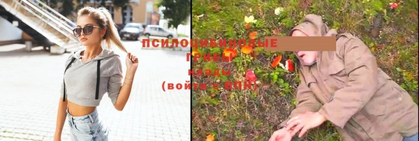 прущий лед Алексин